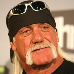 THE TEAM OF THE ICON STING - INFORMATION ABOUT HULK HOGAN